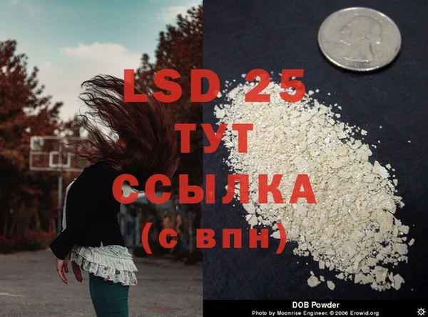 прущие крисы Балахна